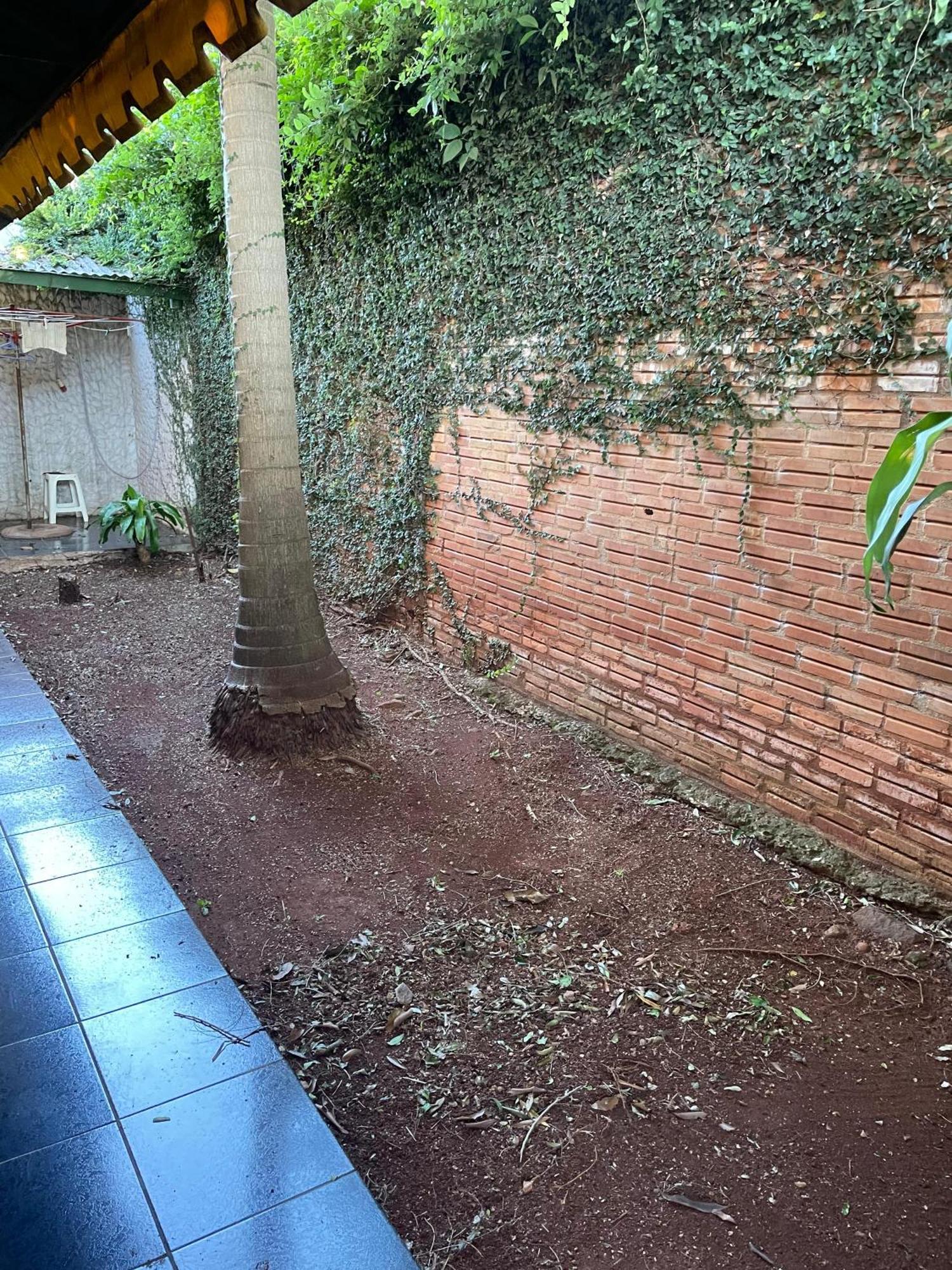 ¡Tucanes Iguazu! Puerto Iguazú Exterior foto